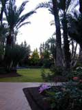 Marrakech Palm Palmerie
