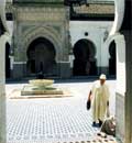 Fes Mosque
