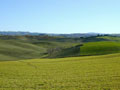 Toscana Landscape in January