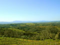 Toscana Landscape in January view to Monte Argentario